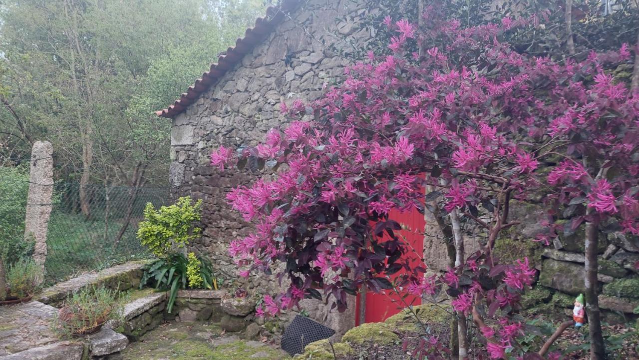Moinho Do Formigal Διαμέρισμα Valenca Εξωτερικό φωτογραφία